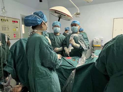 援青博士李炎 書生力量